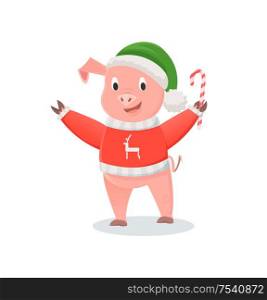 Pig in hat and knitted sweater with cane candy. New Year zodiac symbol, funny animal in clothes, piglet in clothes cartoon vector illustration isolated. Pig in Hat and Knitted Sweater with Cane Candy