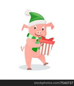 Pig in hat and scarf with gift box, New Year zodiac symbol. Animal in elf costume, domestic livestock mammal, funny piglet vector illustration isolated. Pig in Hat and Scarf with Gift, New Year Symbol
