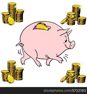 Pig piggy bank