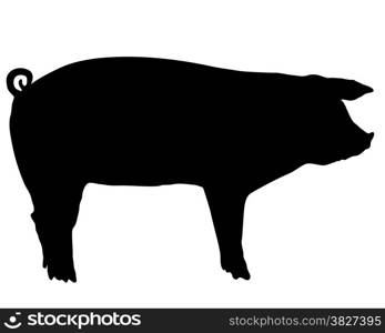 Pig silhouette