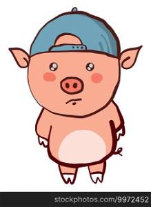 Pig with cap, illustration, vector on white background
