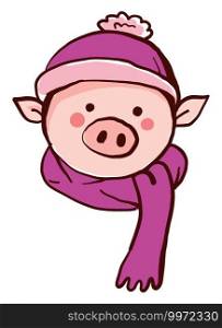 Pig with scarf, illustration, vector on white background