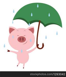 Pig with umbrella, illustration, vector on white background.