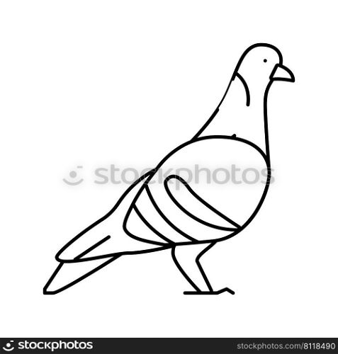 pigeon bird line icon vector. pigeon bird sign. isolated contour symbol black illustration. pigeon bird line icon vector illustration