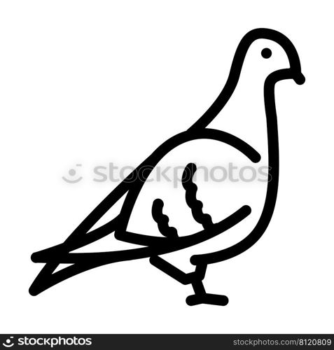 pigeon bird line icon vector. pigeon bird sign. isolated contour symbol black illustration. pigeon bird line icon vector illustration