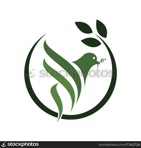 Pigeon Isolated Logo. Peace and Religion logo.