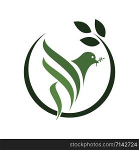 Pigeon Isolated Logo. Peace and Religion logo.
