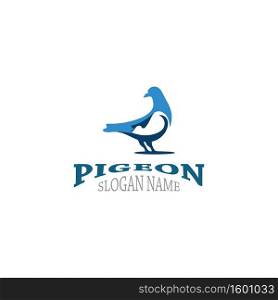 Pigeon logo simple modern bird vector flat black color illustration design template