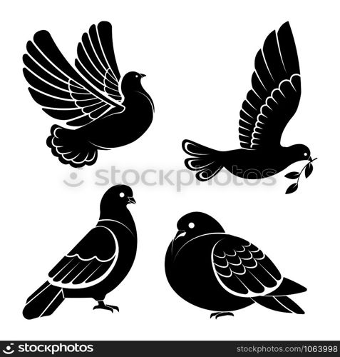 Pigeon or dove, white bird flying with spread wings in sky or sitting set. Vector logo template or isolated symbol icon of peace freedom or post mail delivery and tattoo. Pigeon or dove, white bird flying with spread wings in sky or sitting set.