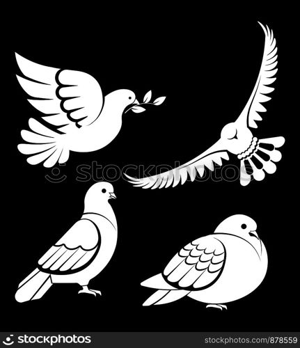 Pigeon or dove, white bird flying with spread wings in sky or sitting set. Vector logo template or isolated symbol icon of peace freedom or post mail delivery and tattoo. Pigeon or dove, white bird flying with spread wings in sky or sitting set.