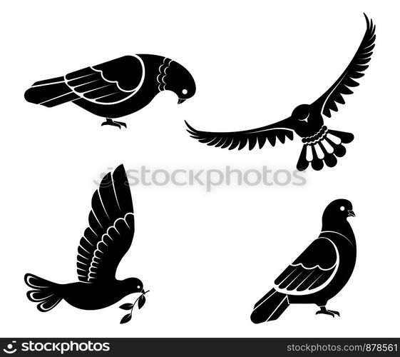 Pigeon or dove, white bird flying with spread wings in sky or sitting set. Vector logo template or isolated symbol icon of peace freedom or post mail delivery and tattoo. Pigeon or dove, white bird flying with spread wings in sky or sitting set.