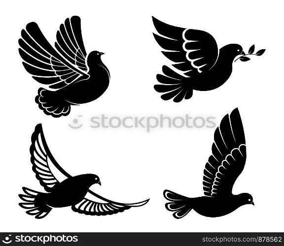 Pigeon or dove, white bird flying with spread wings in sky or sitting set. Vector logo template or isolated symbol icon of peace freedom or post mail delivery and tattoo. Pigeon or dove, white bird flying with spread wings in sky or sitting set.