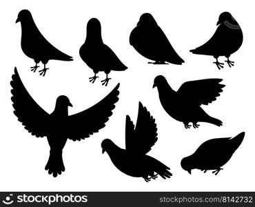 Pigeon silhouette. Black flying standing bird, dove silhouette isolated on white. Vector animal shape collection. Characters peace and freedom symbol in different positions, religious animals. Pigeon silhouette. Black flying standing bird, dove silhouette isolated on white. Vector animal shape collection