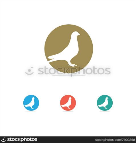 Pigeon vector logo design, dove icon.