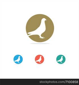 Pigeon vector logo design, dove icon.