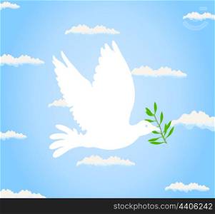 pigeon2. The white pigeon bears a branch. A vector illustration