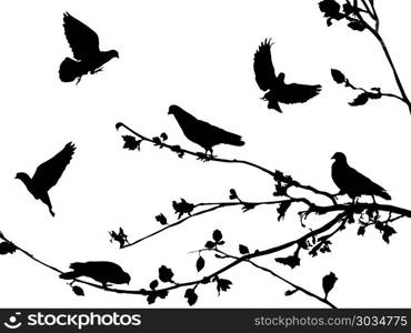 Pigeons silhouettes background, vector illustration. Pigeons silhouettes 2