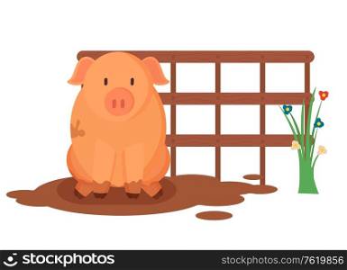 Piggy sitting in mud near wooden fence and flowers, pig farm animal, portrait view of countryside piglet, dirty swine near blossom, agricultural vector. Piglet Sitting in Mud, Farm Animal, Piggy Vector
