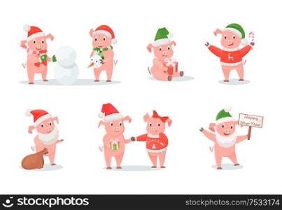 Pigs in hats and sweaters, New Year and Christmas winter holidays. Piglets building snowman and gifts, Santa costume and cane candy vector illustrations. Pigs in Hats and Sweaters, New Year and Christmas