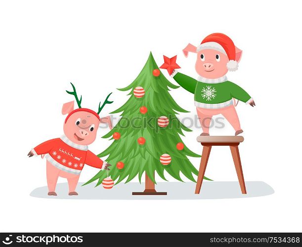 Pigs in knitted sweaters decorating Christmas tree, New Year and Christmas holidays. Piglets in sweater and hat or deer horns cartoon vector illustration. Pigs in Knitted Sweaters Decorating Christmas Tree