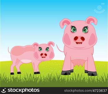 Pigs on meadow. Two pigs womb and piglet on meadow