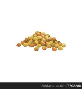 Pile of chickpeas isolated heap of pea beans. Vector organic vegetarian food, soy beans in pile. Healthy dietary cowpea, superfood product. Raw uncooked dry legumes, veggies harvest, organic soya. Heap of chickpeas isolated pile of soy beans