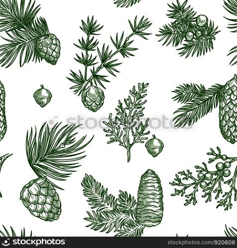 Pine branches of trees and cones seamless pattern isolated on white background vector. Evergreen natural plants and shrubs, twigs with needles, Christmas symbolic vegetation, spruce and fir. Pine branches of trees and cones seamless pattern
