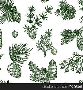 Pine branches of trees and cones seamless pattern isolated on white background vector. Evergreen natural plants and shrubs, twigs with needles, Christmas symbolic vegetation, spruce and fir. Pine branches of trees and cones seamless pattern