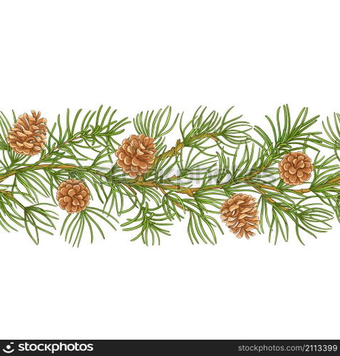 pine branches vector pattern on white background