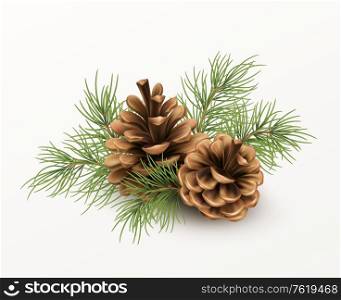 Pine cone with a branch of spruce needles isolated on a white background. Realistic vector illustration EPS10. Pine cone with a branch of spruce needles isolated on a white background. Realistic vector illustration