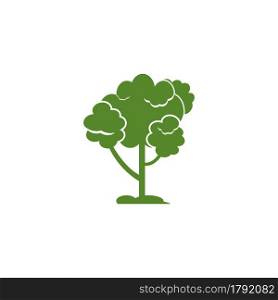 pine evergreen fir hemlock spruce conifer cedar Christmas tree Logo design vector