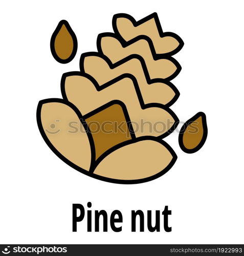 Pine nut icon. Outline pine nut vector icon color flat isolated on white. Pine nut icon color outline vector