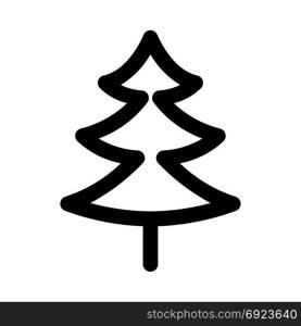 Pine or christmas tree