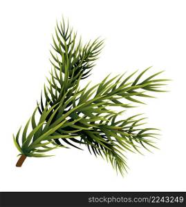 Pine tree branch. Realistic green fir spruce. Vector illustration. Pine tree branch. Realistic green fir spruce