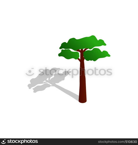 Pine tree icon in isometric 3d style isolated with shadow on white background. Pine tree icon, isometric 3d style