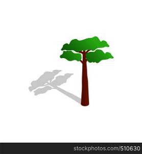 Pine tree icon in isometric 3d style isolated with shadow on white background. Pine tree icon, isometric 3d style