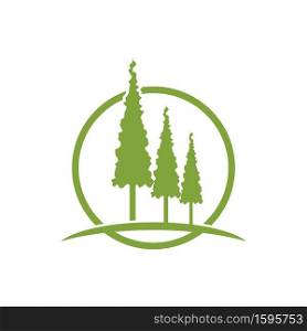 Pine tree logo ilustration design