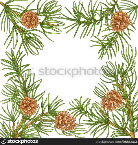 pine vector frame on white background. pine vector frame