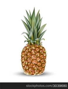 Pineapple ananas fruit for fresh juice. 3d realistic yellow, gre. Pineapple ananas fruit for fresh juice. 3d realistic yellow, green, brown ripe pineapple isolated on white background for packaging or web design. Vector EPS 10.