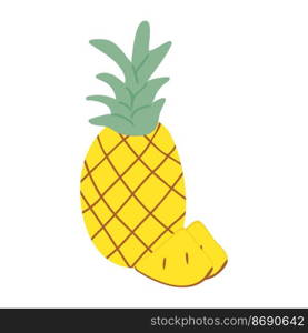 Pineapple and its slices in doodle style.. Pineapple and its slices in doodle style. Hand drawing