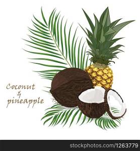 Pineapple, coconut, whole and pieces with palm leaves isolated on white background. Colorful botanical vector ilustration. Vintage tropic design. Good idea for Summer jungle Fashion seamless pattern. Pineapple, coconut, whole and pieces with palm leaves isolated on white background. Colorful botanical vector ilustration. Vintage tropic design