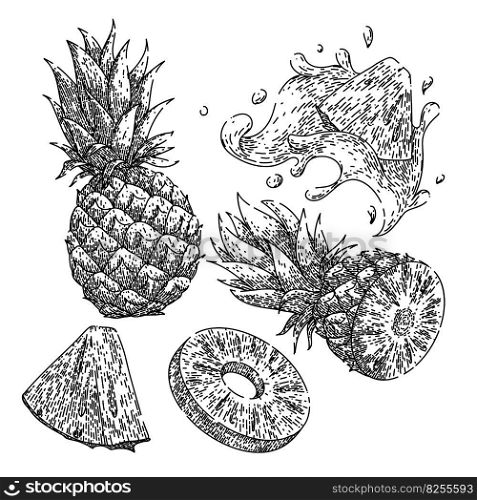 pineapple fresh set hand drawn. fruit leaf, ripe ananas, cut sweet, vector piece, green tropical pineapple fresh vector sketch. isolated black illustration. pineapple fresh set sketch hand drawn vector