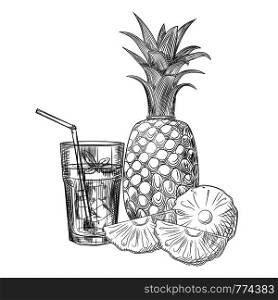 Pineapple fruit cocktail sketch. Slices of pineapple. Exotic tropical fruit juice. Engraving style. Hand drawn vector illustration isolated on white background.. Pineapple fruit cocktail sketch. Slices of pineapple.