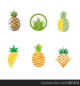 Pineapple fruit icon template vector illustration design