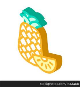 pineapple fruit isometric icon vector. pineapple fruit sign. isolated symbol illustration. pineapple fruit isometric icon vector illustration
