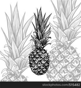 Pineapple hand drawn vector illustration. Tropical fruit ink pen sketch texture. Exotic plant monochrome clipart. Realistic freehand outline drawing. Greeting card, poster isolated design element. Pineapple hand drawn isolated sketch