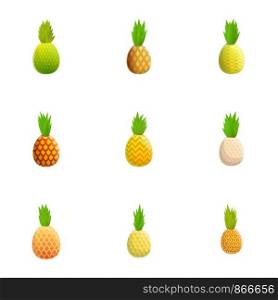 Pineapple icon set. Cartoon set of 9 pineapple vector icons for web design isolated on white background. Pineapple icon set, cartoon style