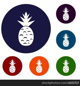 Pineapple icons set in flat circle reb, blue and green color for web. Pineapple icons set