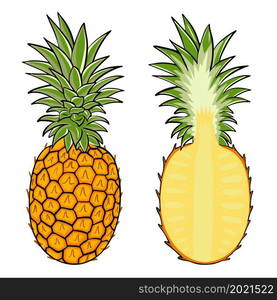 Pineapple isolated vector illustration. A set of whole and half pineapples. Juicy sweet tropical exotic fruits, healthy food. Pineapple isolated vector illustration