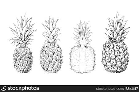 Pineapple sketch. Hand drawn set of tropical sweet fruits. Exotic dessert drawing. Isolated plant engraving. Whole or half ananas mockup. Organic vitamin food. Vector vegetarian products collection. Pineapple sketch. Hand drawn set of tropical sweet fruits. Exotic dessert. Isolated plant engraving. Whole or half ananas. Organic vitamin food. Vector vegetarian products collection